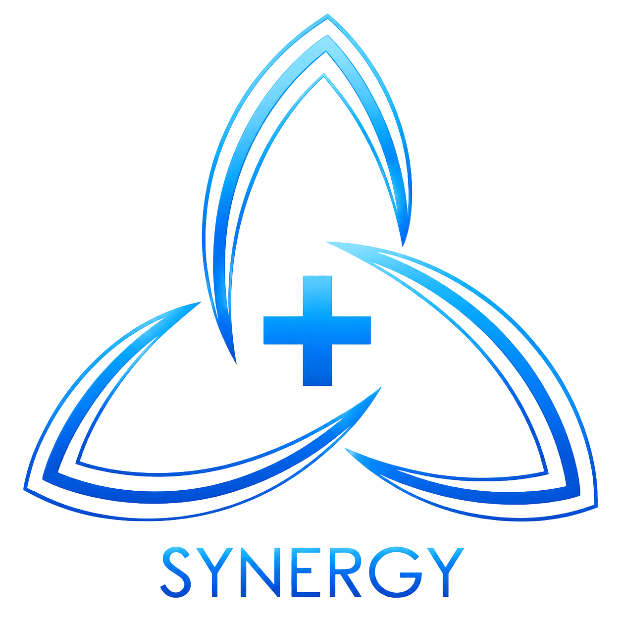 Synergy Plus LLC