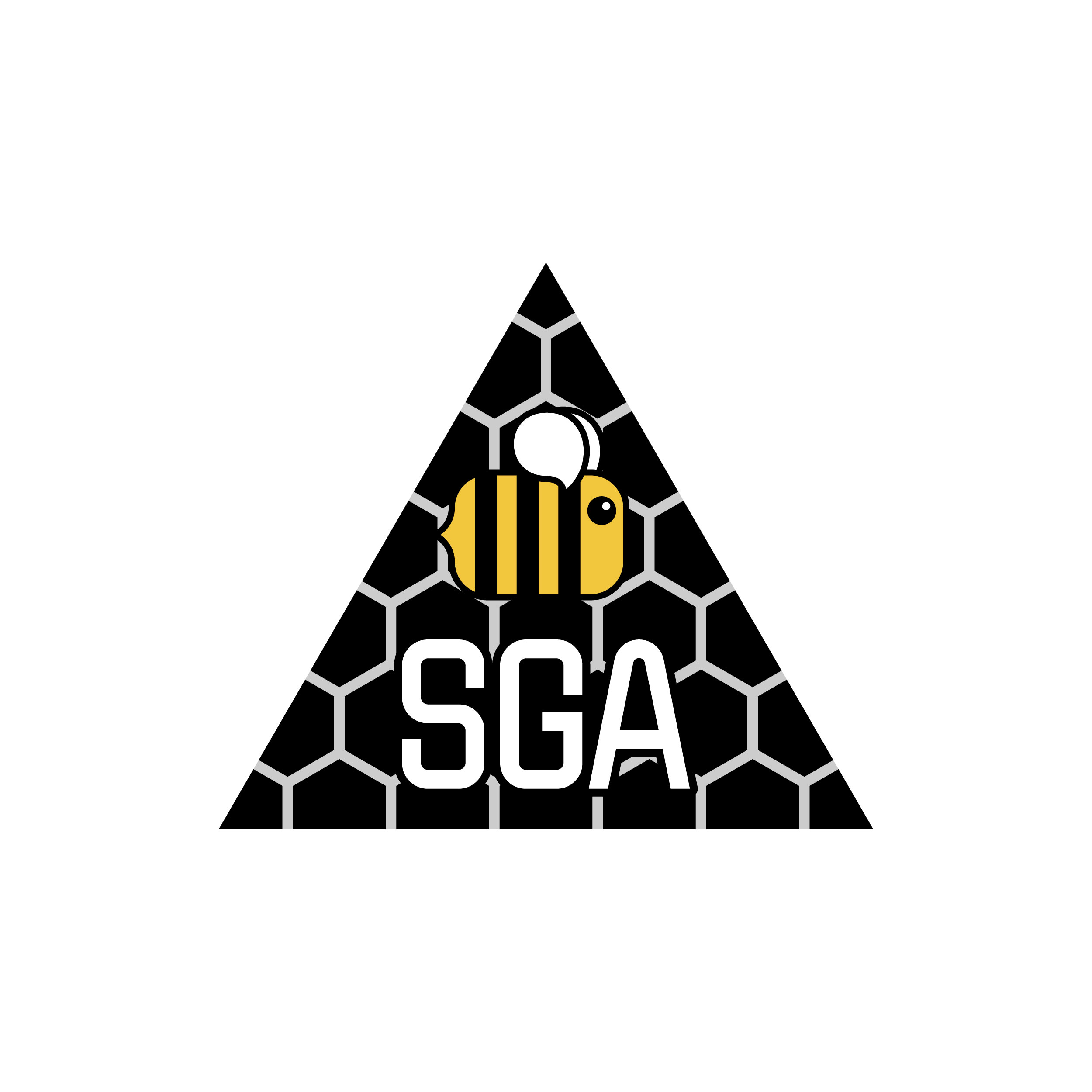 Construction SGA Inc