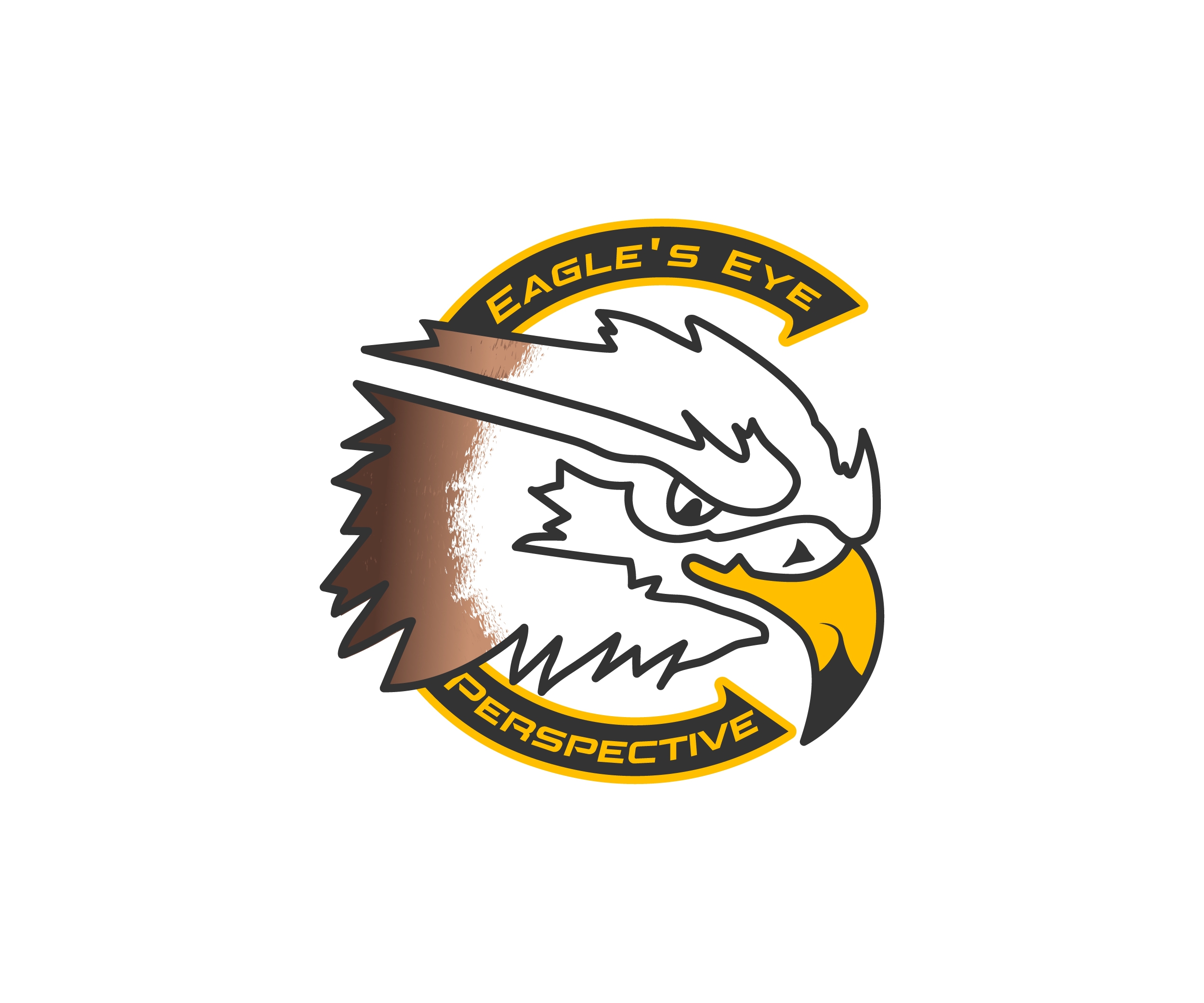 Eagle’s Eye Perspective