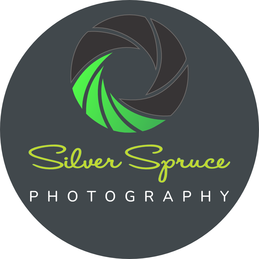 Silver Spruce Photography